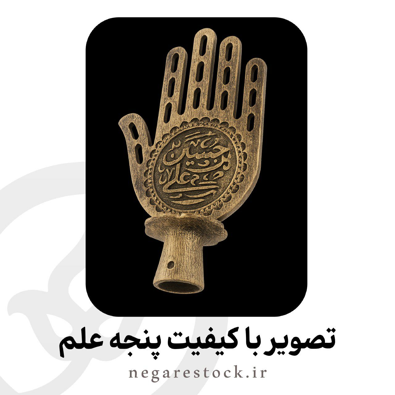 تصویر با کیفیت پنجه علم 